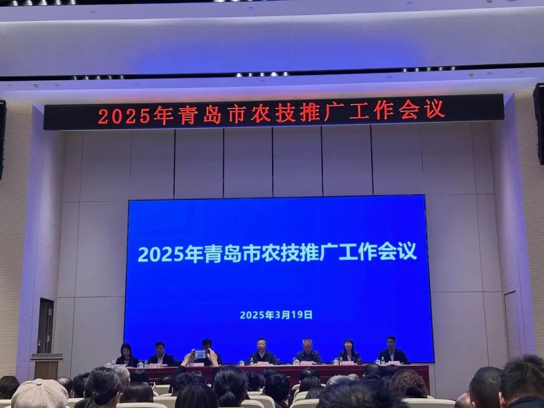 2-25032Q52524V2 ab1a5e08f473e8e5f5e1a2216ba2456.jpg